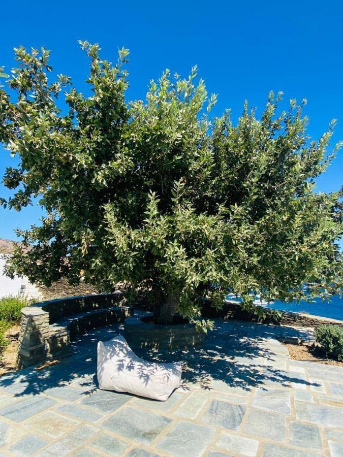 Harma Villas Andros Town Exterior foto